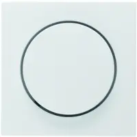 Berker Plaque centrale blanc brillant bouton multifonction - Plaque de recouvrement pour couleur blanche 11378982