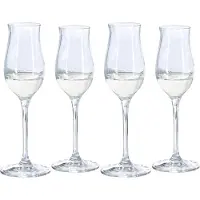 Spiegelau Verre à Grappa Spiegelau Spirit Glasses 135 ml (4 Pièces)