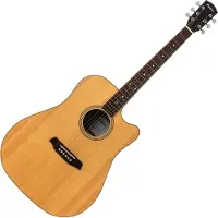 Pasadena PDC-300 Natural Satin Guitare acoustique