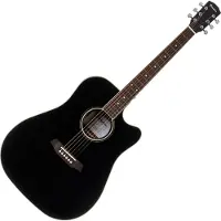 Pasadena PDC-300 Black Guitare acoustique