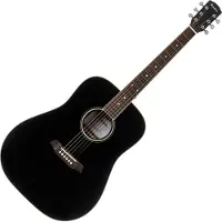 Pasadena PD-300 Black Guitare acoustique