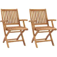 vidaXL Chaises de jardin pliantes 2 pcs. Bois massif teck