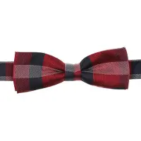 Venti Noeud papillon rouge, A carreaux