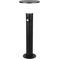 TRIO Lampe de terrasse solaire Gorda 50 cm - avec détecteur de mouvement