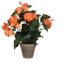 Mica Hibiscus Artificielle Orange En Pot H40