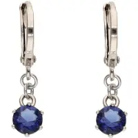 Gaya Boucles d'oreilles bleu foncé / argent