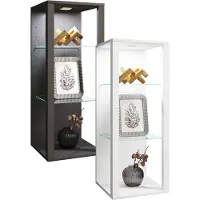 VCM Bois Verre Vitrine Murale Vitrine Suspendue Vitrine De Collection Vitrine Vitrine Sur Pied Vitrine Glasol Mw