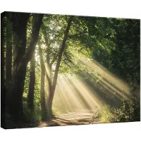WALLARENA Impression sur toile foret nature moderne 60x40 cm xxl tableau décoration deco murale intissée pour salon chambre cuisine