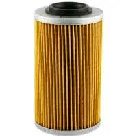 Champion Filtre À Huile Pour Quad Bombardier 650 Traxter 2005 Cof456 Neuf