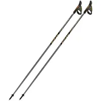 Fizan Runner Poles Argenté 115 cm