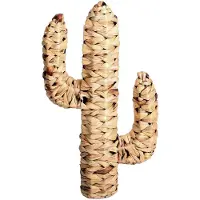 Urban Living Cactus en jacinthe d'eau tressée Natural Living - H. 45 cm - Marron