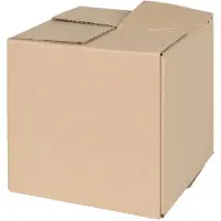 vidaXL Boîtes pliantes avec compartiment de rangement, lot de 50 pièces, couleur naturelle, 20 x 20 x 20 cm, en carton