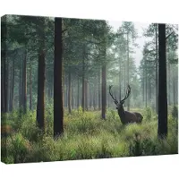 WALLARENA Impression sur toile foret cerf moderne 120x80 cm xxl tableau décoration deco murale intissée pour salon chambre cuisine