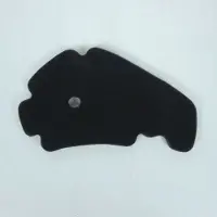 P2r Filtre À Air Pour Scooter Peugeot 250 Geo Rs 2008 À 2010 Mousse Neuf