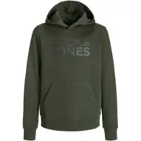 Jack & Jones Junior Sweat gris foncé / vert foncé
