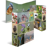 Herma Dossier A4 Motif (A4, 70 mm, 1 pcs)
