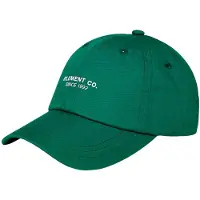 Element Co Cap Vert