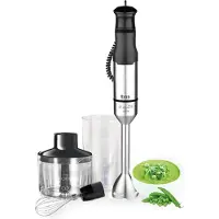 TM Electron Mixeur plongeant acier inoxydable 1200 watts