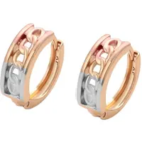 NAEMI Boucles d'oreilles or / or rose / argent