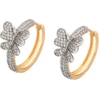 Gaya Boucles d'oreilles or / argent