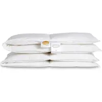 Dozy Couette - Musc - 70x100 cm - Bébé - Blanc - - UneTaille - Couette