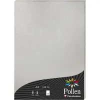Pollen Clairefontaine Pollen - Argent, iridescent - A4 (210 x 297 mm) - 120 g/m² - 50 feuille(s) papier