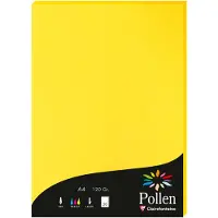 Pollen Papier