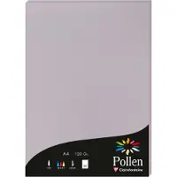 Pollen Papier