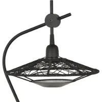 Forestier Carpa Lampe de Table