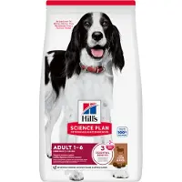 Hill's Pet Nutrition Science Plan Canine Adult Medium Lamb &amp; Rice 18 kg nourriture pour chiens de taille moyenne agneau et riz + 2 boîtes de conserve et Ajax Spray GRATUITS