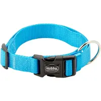 Nobby Collier Classic (50, 52, 54, 56, 58, 60, 62, Chien, Général)
