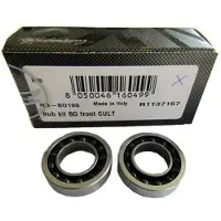 Campagnolo Roulements Usb