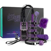 Secret Pleasure Chest Coffret Secret Pleasure - kit BDSM avancé (14 pièces)