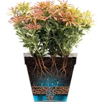 Elho Pot de Plante Elho Ø 50 cm Rond en Plastique Moderne