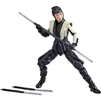Hasbro Snake Eyes G.I. Joe Akiko Figure 15cm