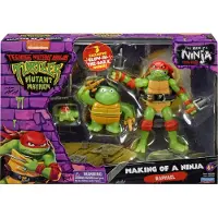 Teenage Mutant Ninja Turtles Raphael Evolution 3-pack, 4 rok/roky, Ninja Turtles, Vícebarevný, plastic