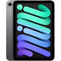 Apple iPad Mini 7 (2024) 256 Go Wifi Gris Sidéral