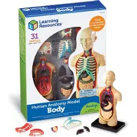 Learning Resources LER3336