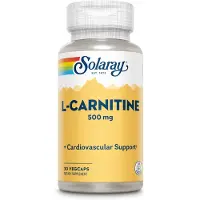 Solaray L-carnitine 500mgr 30 Unités