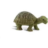 Safari Ltd Mini Figurine Tortues Porte-bonheur