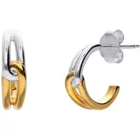 Lucardi Boucles d'oreilles 'Schick' or / argent