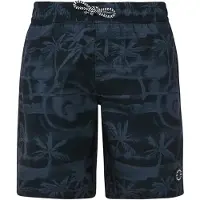 Protest Stones Swimming Shorts Noir 128 cm Garçons
