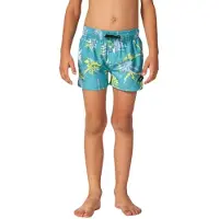 Rip Curl Mason Volley Swimming Shorts Bleu 12-24 Months Garçon