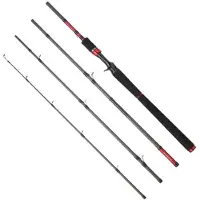 Daiwa Canne Baitcasting Ballistic