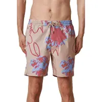 Globe Short De Bain Dreamin´ Wild Poolshort