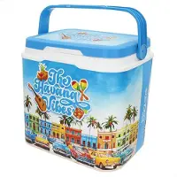 Colorbaby Rigid Plastic Refrigerator Summer Trends 24l Bleu
