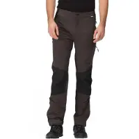 Regatta Questra V Pants Gris 42 / Regular Homme