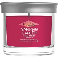 Yankee candle Santa On Skis bougie parfumée Signature 122 g