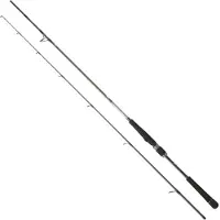 Daiwa Canne Spinning Saltist Seabass
