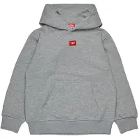 Diesel Kids J02502 Hoodie Gris 10 Years Enfants